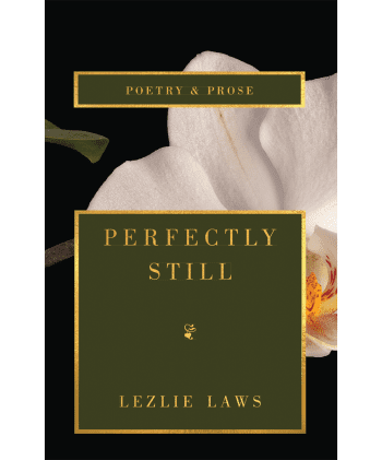 Perfectly Still Book Cover